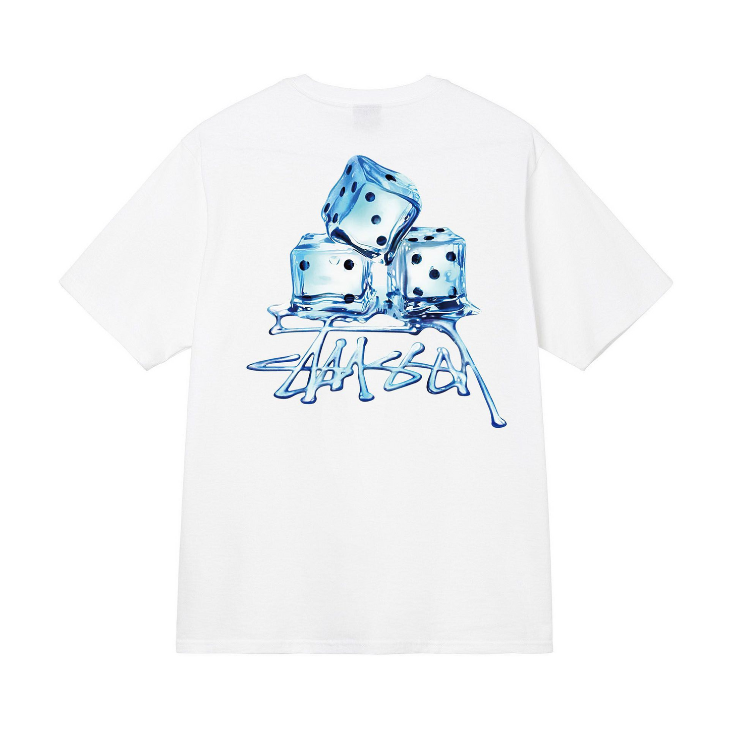 T-shirt Stussy (+30 wariantów)